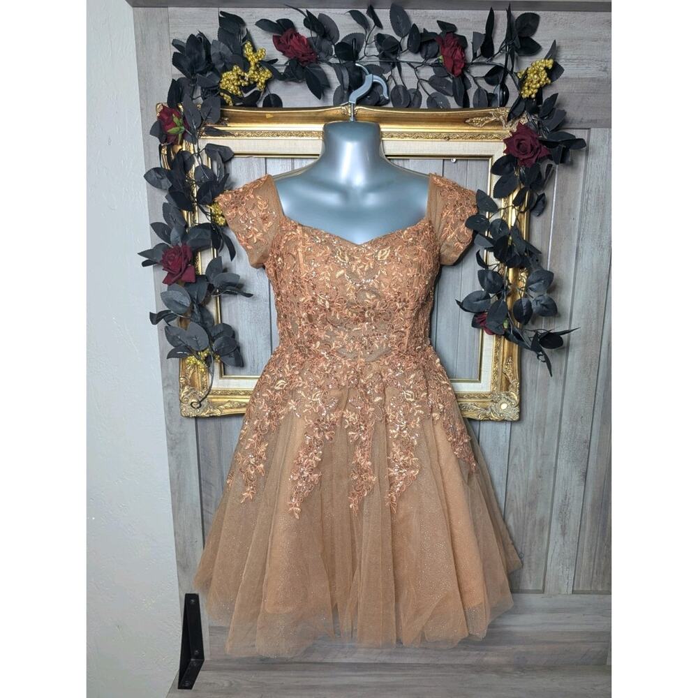 ✨🤎 Fairycore Bronze Corset Dress Glitter Tulle Mini Cottagecore Formal Size 4